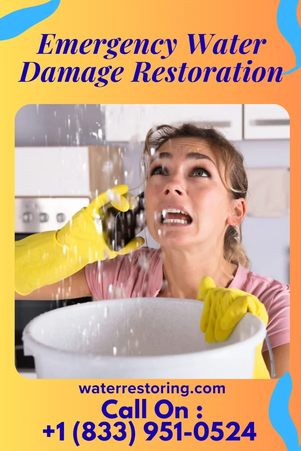 Emergency Water Damage Restoration in Lakeside Woods, CT